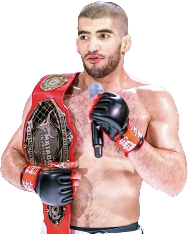 MMA Classes in North Aurora, Morris, and Merrillville